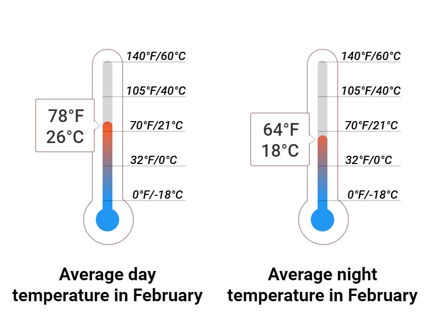 What to do in February in Puerto Rico 2025 Winter Sun Expert